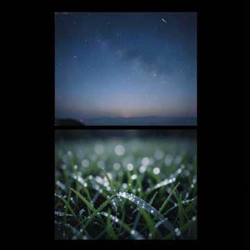 starry sky cover artwork